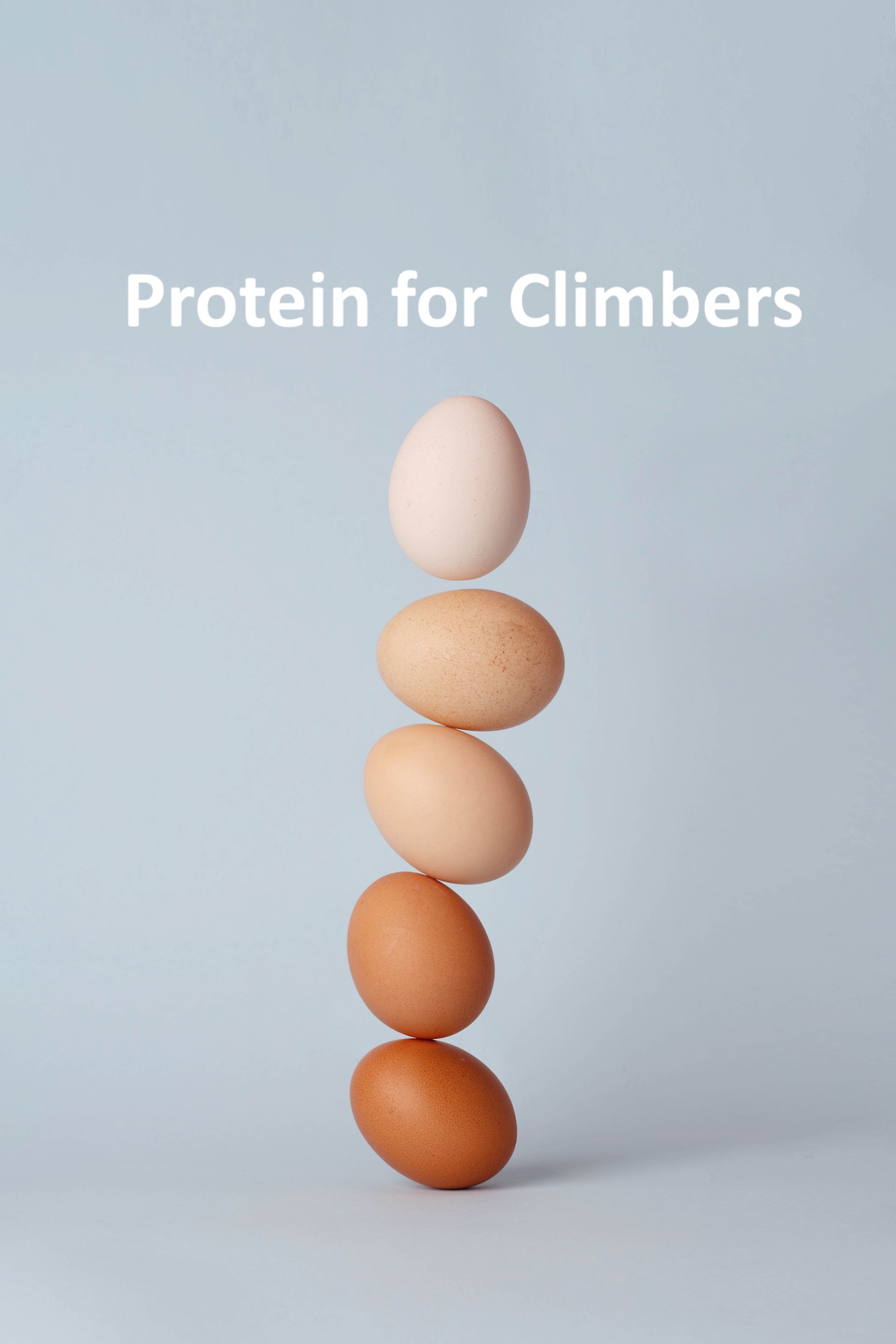 Protein for Climbers Nutrition for Climbers