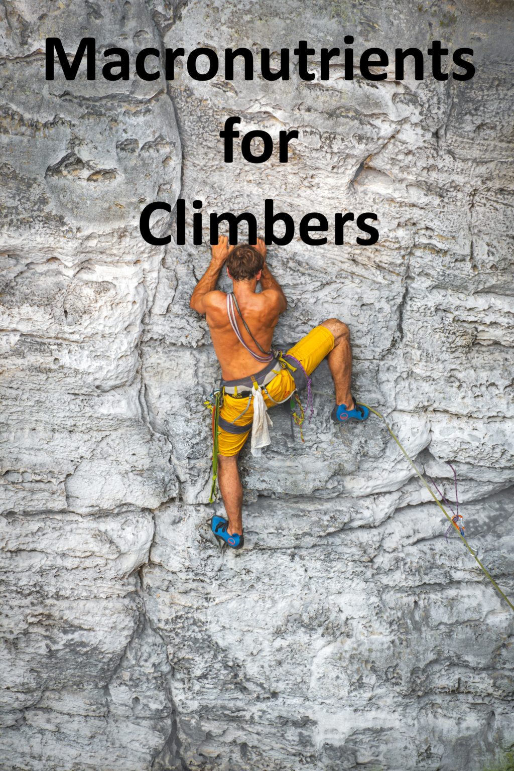 Climbing Nutrition Blog